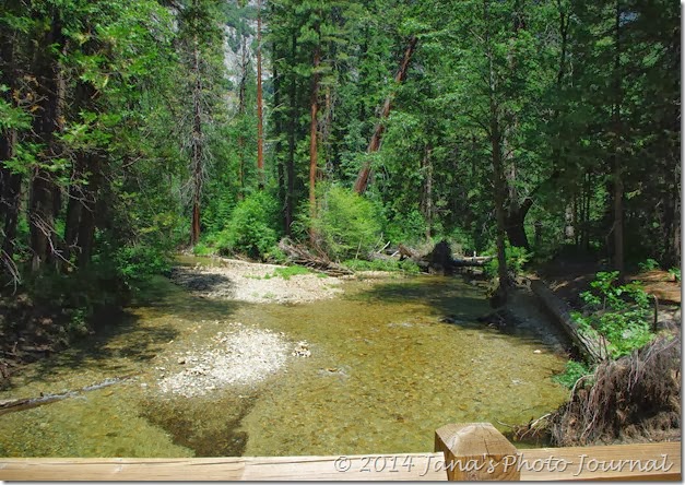 Stream Along The Trail to Yosemite Falls Stream Along The Trail to Yosemite Falls
