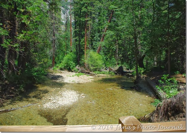 Stream Along The Trail to Yosemite Falls