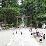 toshogu shrine in Nikko, Japan by Matt van Vuuren in Nikko, Totigi (Tochigi) , Japan