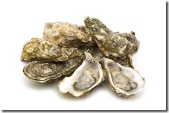 oysters