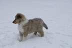_DSC0091.JPG