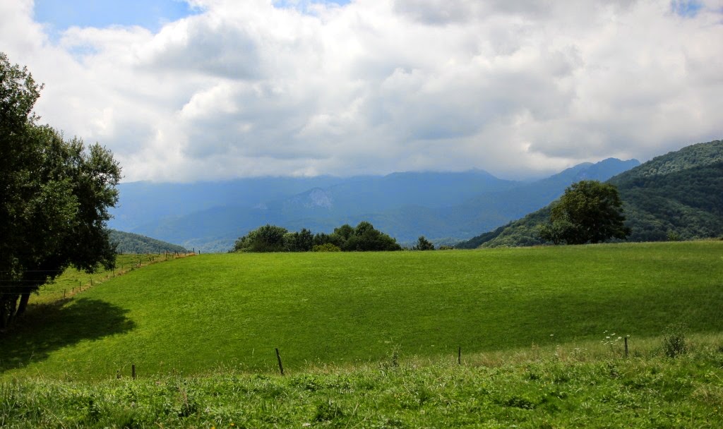 [IMG_2312%255B3%255D.jpg]