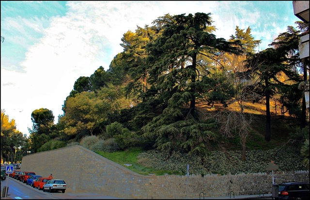 [2La%2520calle%2520Ir%25C3%25BAn%2520confluye%2520en%2520la%2520Senda%2520del%2520Rey.%2520Madrid%255B4%255D.jpg]