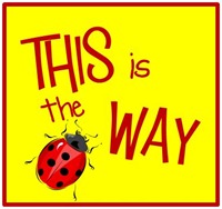 This Is The Way Box This Is The Way Box