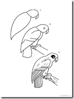 aprende dibujar anumales blogcolorear (4) aprende dibujar anumales blogcolorear (4)