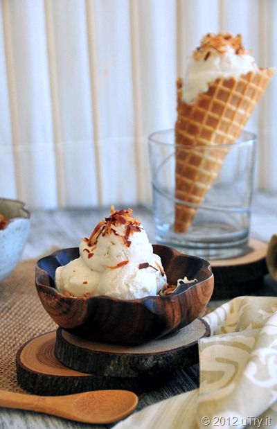 Coconut Ice Cream with Toasted Coconut
