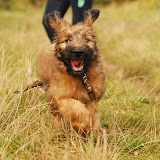Abi - DSC_0266.jpg