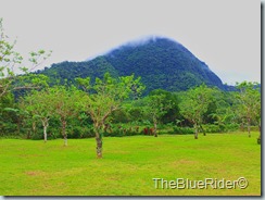 WP_000107 WP_000107