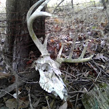Hunting Funnels