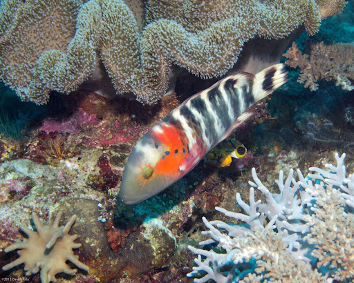 P7024195