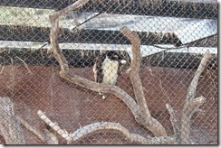 IMG_6636 IMG_6636