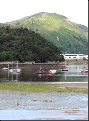 estuary 009