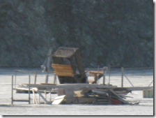 IMG_5795 IMG_5795