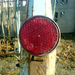 dsc00706.jpg