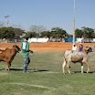 superleite2011_dia1507_100.JPG