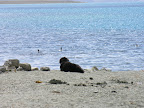 DSCN8269.JPG