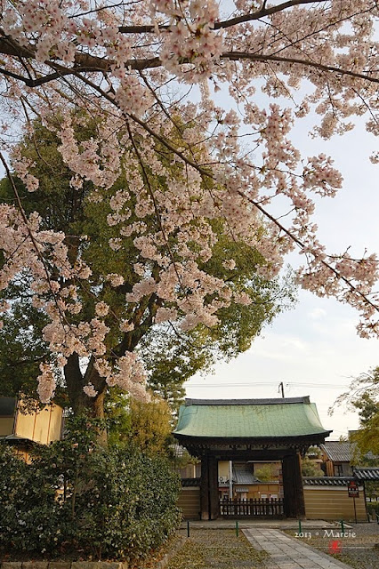 京都建仁寺