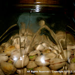 IMG_2969.jpg