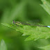 P1110322