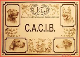 CACIB-article_clip_image002_0001 CACIB-article_clip_image002_0001