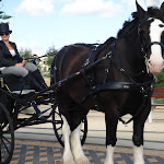 DSC01684.JPG
