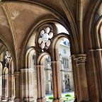 DSC_9174.jpg