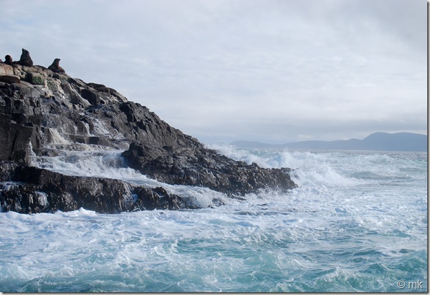 DSC_1373 DSC_1373