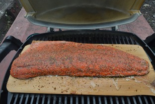 plank salmon on the weberQ 100