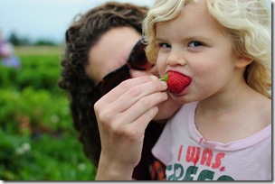 Strawberry Picking & Marcus band 129