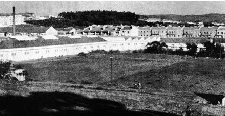 [Campo-de-Benfica.jpg]