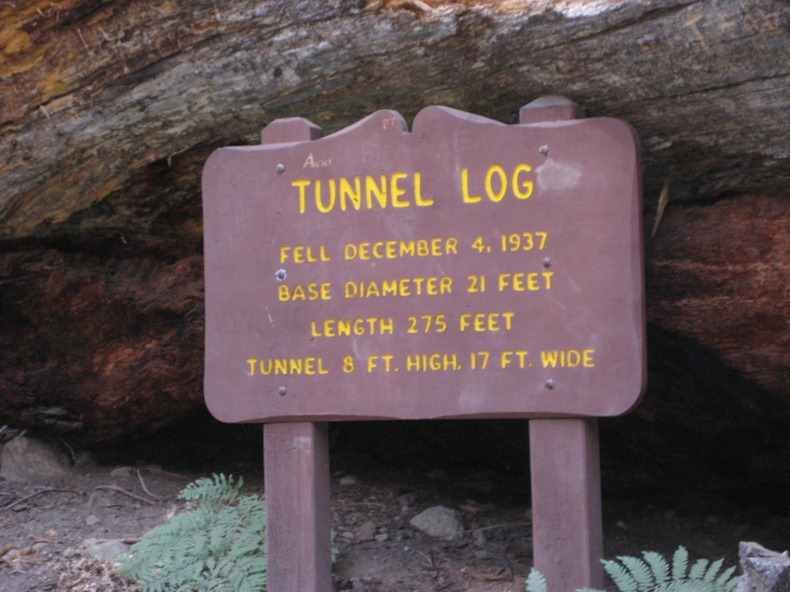 tunnel-log-4 tunnel-log-4