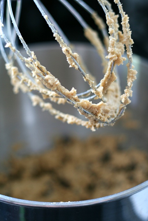 [sea-salt-chocolate-chip-cookies-0023.jpg]