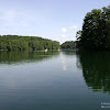 dsc03831.jpg