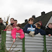 Tannenbaumaktion 08_742.jpg