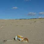 blikje_op_strand.JPG