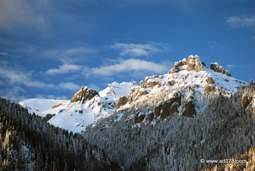 DSC_2232.jpg