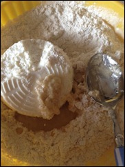 IMG_3719 IMG_3719