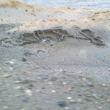 010620101164.jpg