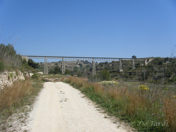 2013_04180073.jpg