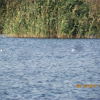 IMG_7992.JPG