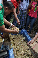 pinoyecofarm vermicomposting seminar _0057.JPG