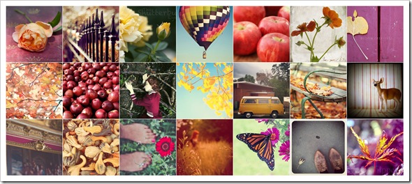 FPOE Autumn Mosaic ORIG