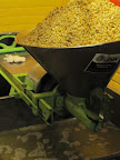 Corn waiting to be ground