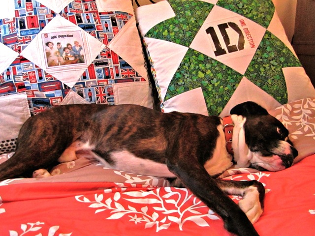 [1D%2520pillow%2520012%255B8%255D.jpg]