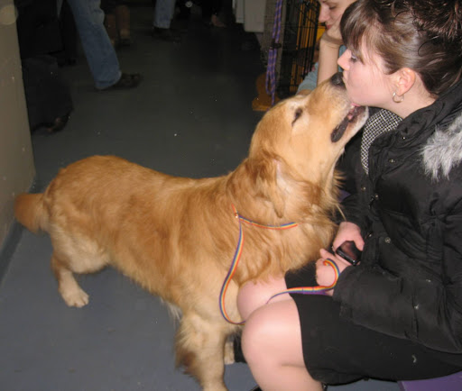 Golden Retriever offers a smooch to her handler.