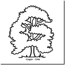 Coig&uuml;e 1