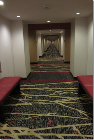 IMG_1518 IMG_1518
