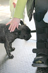Oh my, Susie - that thing looks like a cast.  Did you break your ankle or something?