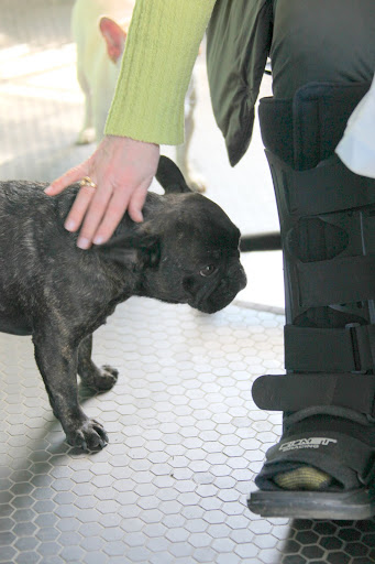 Oh my, Susie - that thing looks like a cast.  Did you break your ankle or something?
