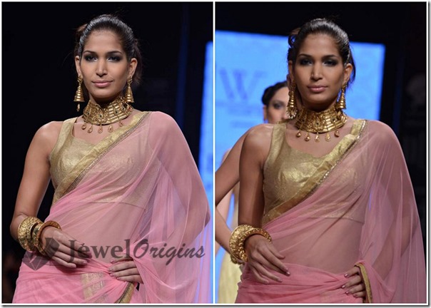 IIJW_2013 (5)